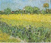View of Arles with irises in the foreground Vincent Van Gogh
